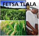 fetsa tlala 